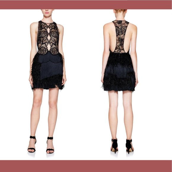 NEW $648 Tadashi Shoji‎ Aubrie Mini Fringe Lace Great Gatsby Dress [ SZ 2 ] - Picture 13 of 13
